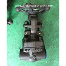 API602 800lb Forged Steel A105 Thread End NPT Gate Valve